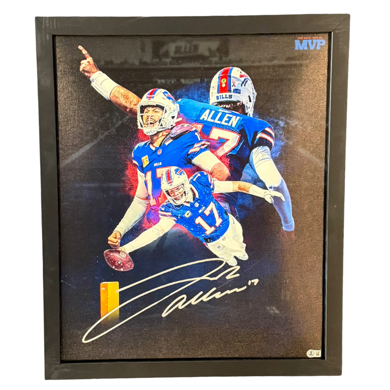 Signed Framed Canvas