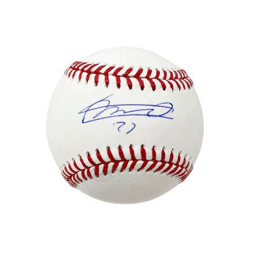 Vladimir Guerrero Jr. Signed Toronto Blue Jays Baseball Signed Baseball TSE Buffalo 